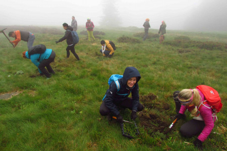 Výsadba bylin na radhošťském hřebeni. Foto: ČSOP Salamandr